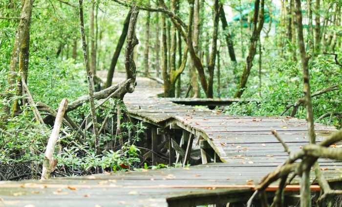Deretan Wisata di Kalimantan Utara yang Patut Dikunjungi